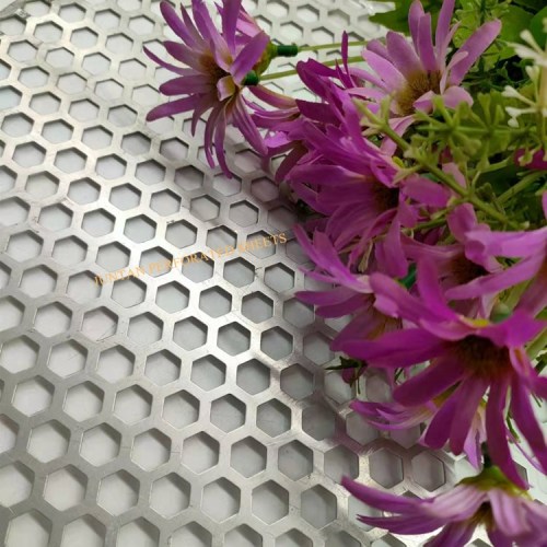 Stainless Steel Perforated Mesh for sorting screens