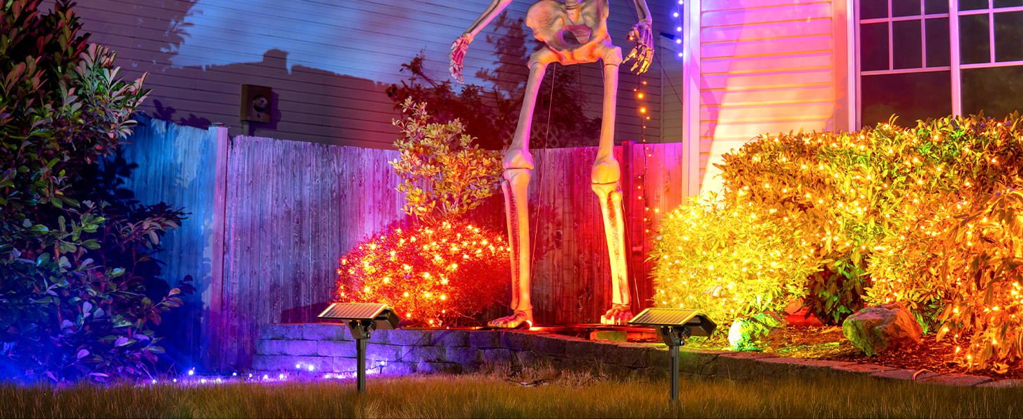 8b50c0f8-d555-4c5e-96b7-b2ca2d105152.__CR0,0,