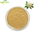 Premium Honeysuckle Extract