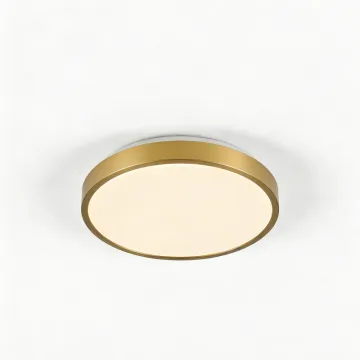 LED ceiling light for indoor decoration