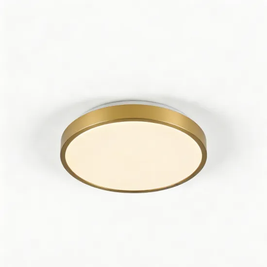 LED ceiling light for indoor decoration