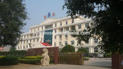 OUYA Professional manufacturer for corrugated SS flexible metal hose