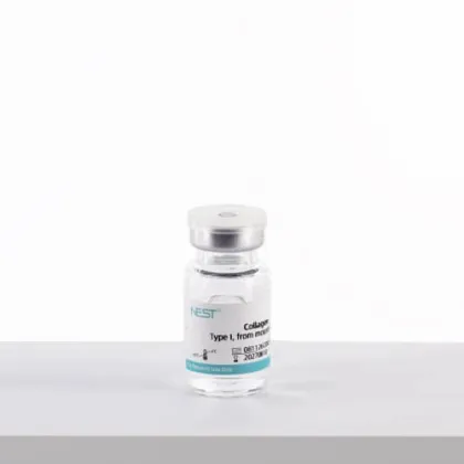 Collagen, Type I