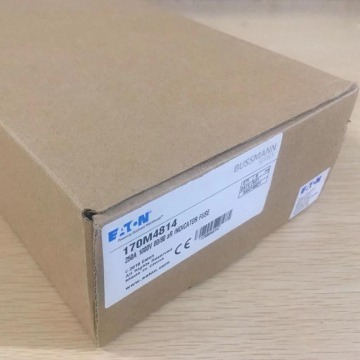 Best Selling Original DC 48V Bussmann Fuse