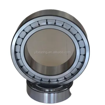 Cylindrical Roller Bearing SL045010 Search