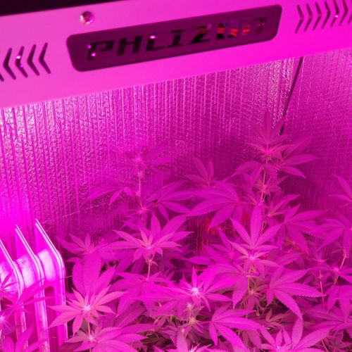 Indoor Garden Greenhouse 100W groeien LED-licht