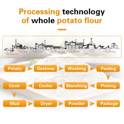 Cocoa Powder, Banana Powder, and Potato Flour Processing Machines