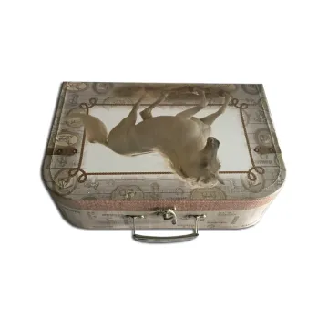 Cheap Safety Paper Suitcase Box with Handle