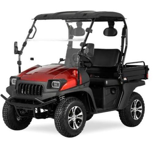 4 Srater Electric Car Golf Cart 5kW
