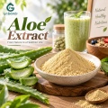 مسحوق خلاصة الصبار مع سكريات الصبار والألوين