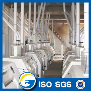 Maize flour processing line