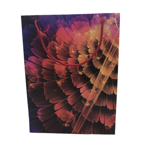 Matt lamination rope handle packaging bag