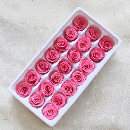 Eternal Rose: Preserved Flower Gifts That Last Forever