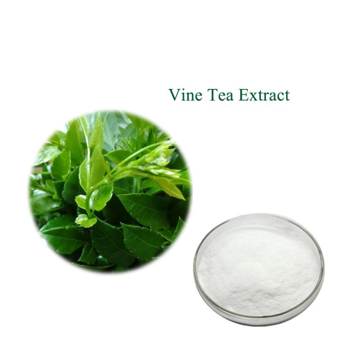 Plant Extract vine tea extract