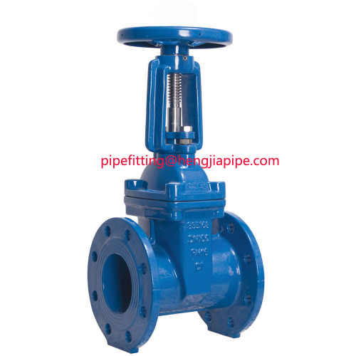 BS Rising Gate Valve