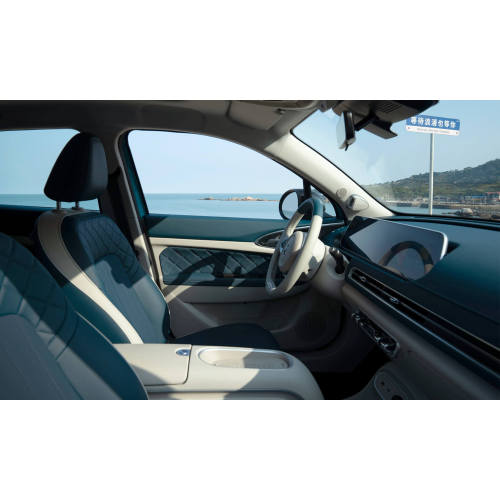 2024 501 км GWM ORA Good Cat Luxury Edition