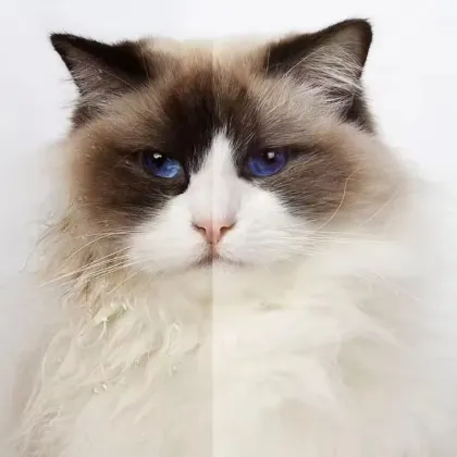 Negative ion drying box