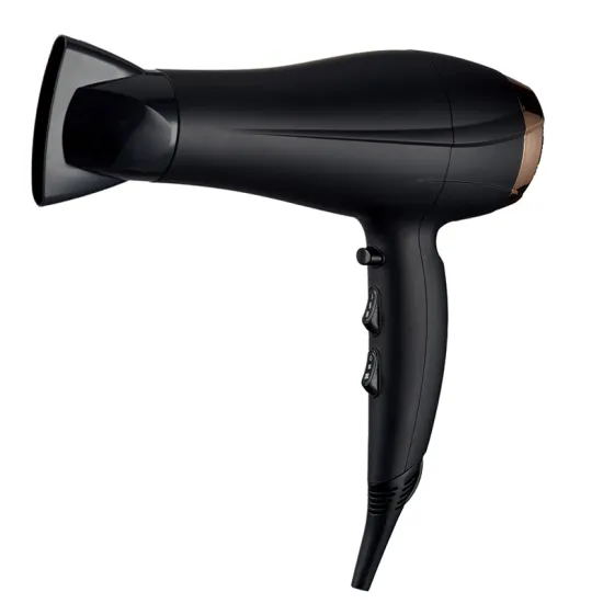 Ionic 2200W Blow Dryer with Diffuser and Foldable Design for Travel