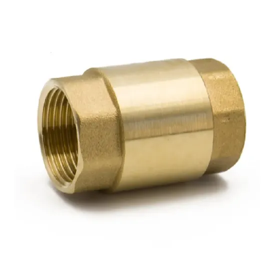 High Quality General 1/2" - 4" Quick Connect Manual Compressor Spring Water Gas Metal Check Foot Valve