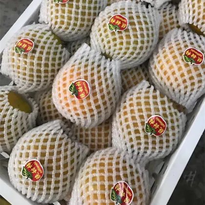 Fresh Sweet Persimmon Health