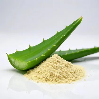 Cncsbio rhein powder for sale