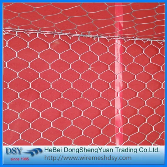 Supply PVC Coated hexagonal gabion box