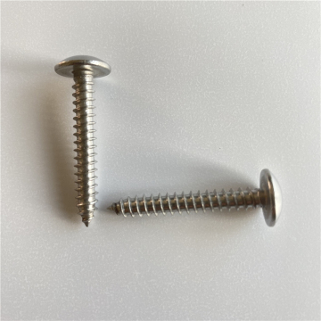 Wholesale 304 & 410 Stainless Steel Truss Head Self-Tapping Screws: #8 and #10 Sizes