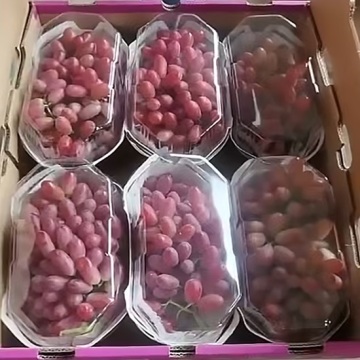 Uva Vermelha Premium Sabor Delicado