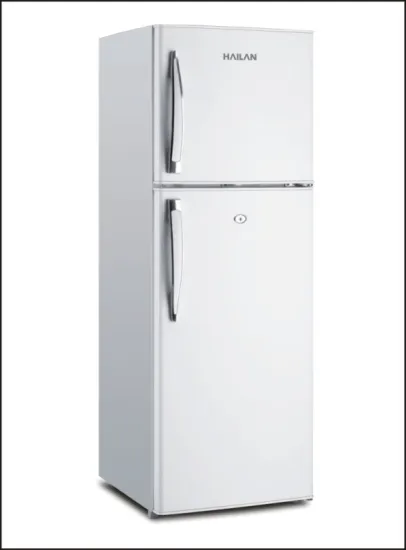 Kitchen Vegetable Fruit Double Door Fridge Refrigerator