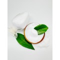 /msite/products/detail/productid/68288196/id/1609491.html