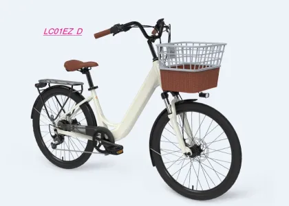 24 Inch Yadea Electric Bike