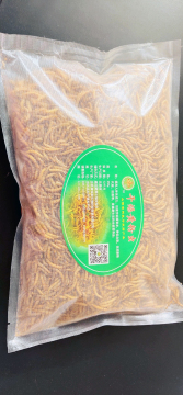 mealworms for pet snake