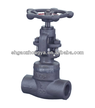 steam globe valve