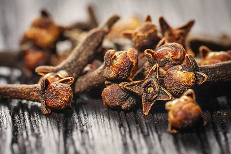 OEM clove bud essential oil