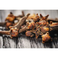 OEM clove bud essential oil