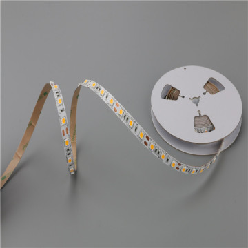Best quality 8mm led with 5m 300leds led strip light 3528 SMD DC12V 24V offer