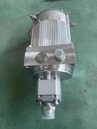 Permanent magnet brushless DC motor