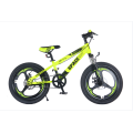 Tw-37-1hight Quality Bicycle Students Mountain Bike