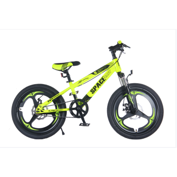 TW-37-1 High Quality Bicycle Students Mountain Bike