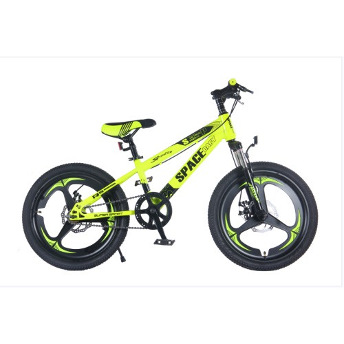TW-37-1High Quality Bicycle Students Mountain Bike