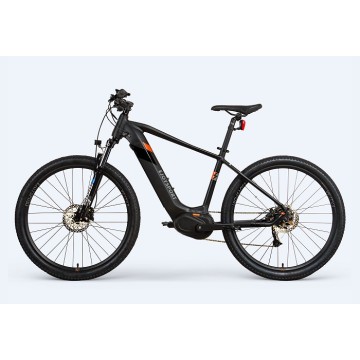 Mid Drive Electric Walking Bike