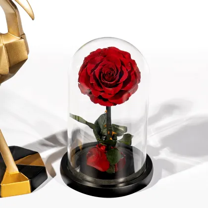 Factory Direct Wholesale: Immortal Rose Gift Boxes & Fresh Cut Flowers