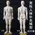 Chinese body model for acupunctur meridian and extraordinary points 60cm /Human body acupuncture point model