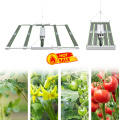 UV IR LED cultive des barres lumineuses pour la plante