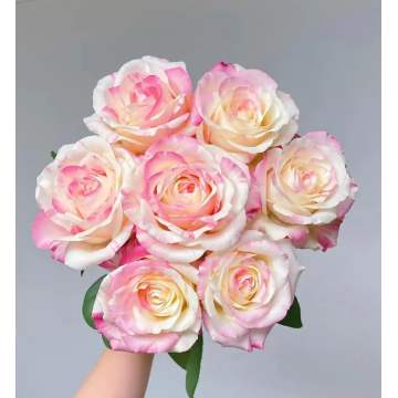 বিবাহের bouquets জন্য সাদা গোলাপী একক মাথার গোলাপ