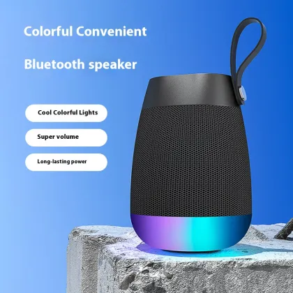 Portable Wireless Hi-Fi Speaker System
