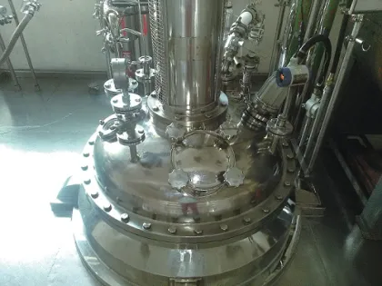  STAINLESS STEEL CRYSTALLIZATION REACTOR
