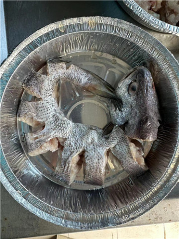 freezing brown croaker whole