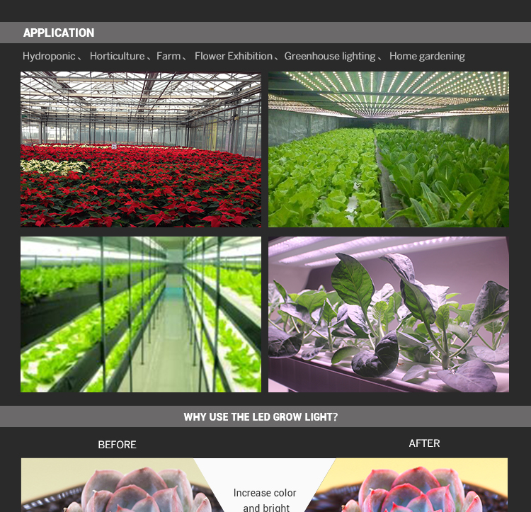 Horticulture LED Grow Light for Indoor Plant Growing