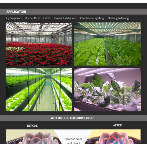 Horticulture LED Grow Light untuk Penanaman Tanaman Indoor